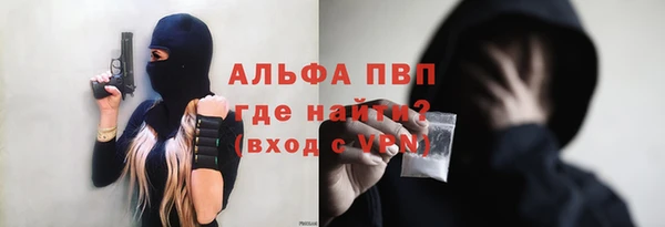 стаф Алексин