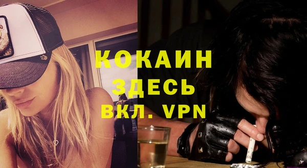стаф Алексин