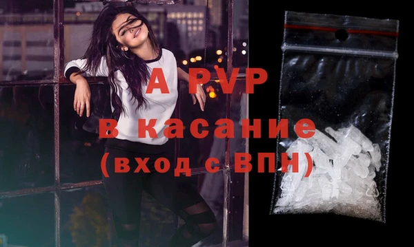 стаф Алексин