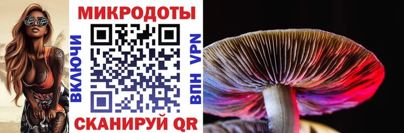 Псилоцибиновые грибы мухоморы  Каргат 